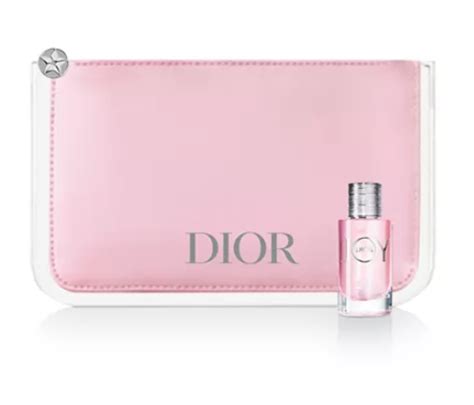 dior gwp 2022|christian dior gift with purchase.